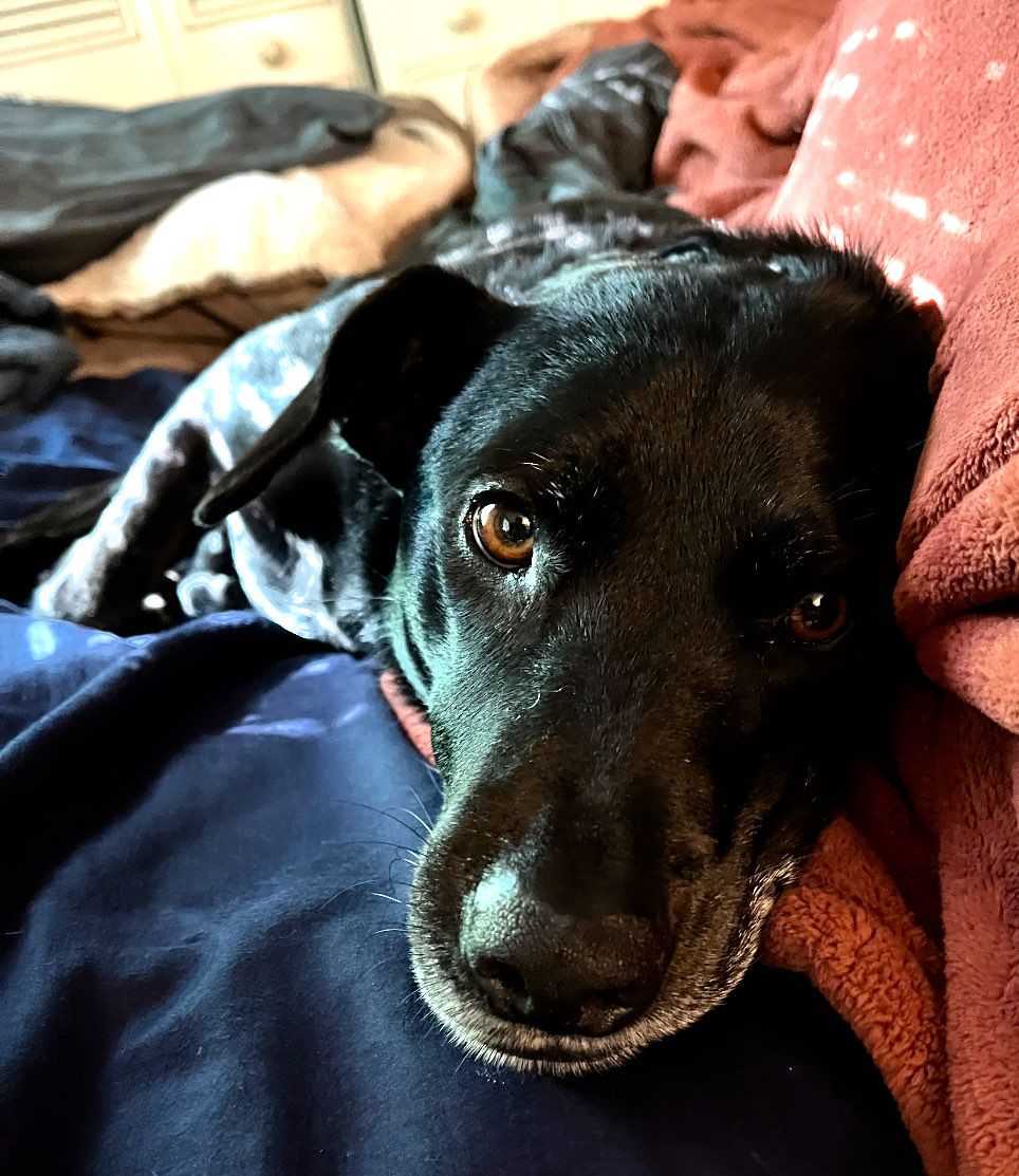 Liberty relaxing